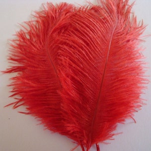 BRIGHT RED Ostrich Feather Plumes 10&quot;-18&quot; for Centerpieces Craft Home Decor Design DIY