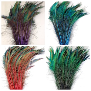 gefärbte Pfau Schwerter verschiedene Farben 15-20 ”in Länge für Halloween Kostüm Craft Design Theater Karneval Wohnkultur Hochzeit Herzstück