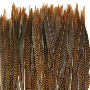 Golden Natural Pheasant 16&quot;-20&quot; Feathers for crafts Halloween costume design millinery