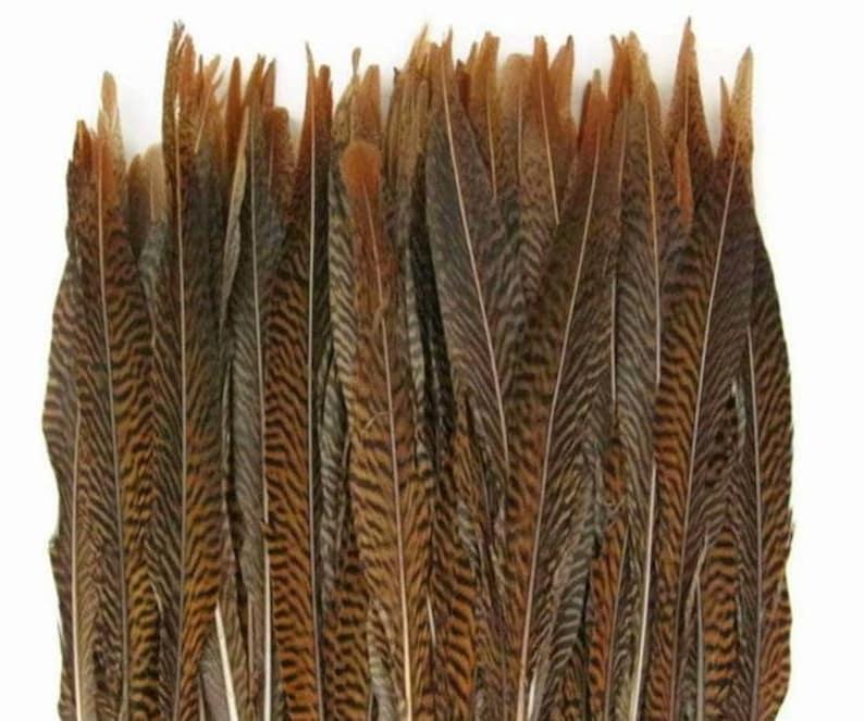 1 GOLDEN Natural Pheasant Feathers 20-30