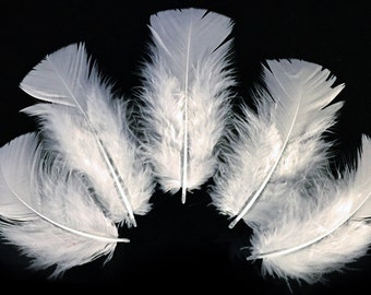 30 Pcs Turkey Plumage 1"-4" Feathers - IVORY for School Craft Hats Halloween Costume Design Fun Project