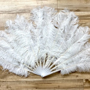 2 Large OSTRICH Feather Fans in WHITE 50 X 30 for Burlesque Fan Dance ...