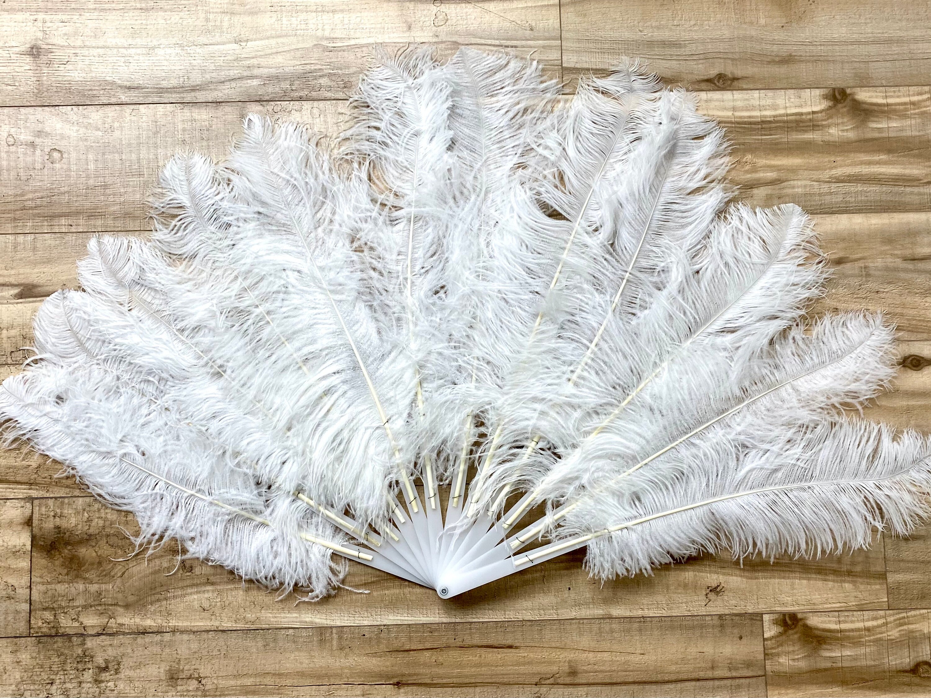 2 Large OSTRICH Feather Fans in WHITE 50
