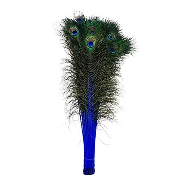 ROYAL BLUE Dyed PEACOCK Feathers 30"-35" for Costume Halloween Home Decor Vases Bridal Wedding Centerpieces Craft