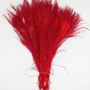 BLEACHED PEACOCK Tail Feathers 10-12 in Many Various Colors for Costume Halloween Home Decor Vases Bridal Wedding Centerpieces Craft DIY Red