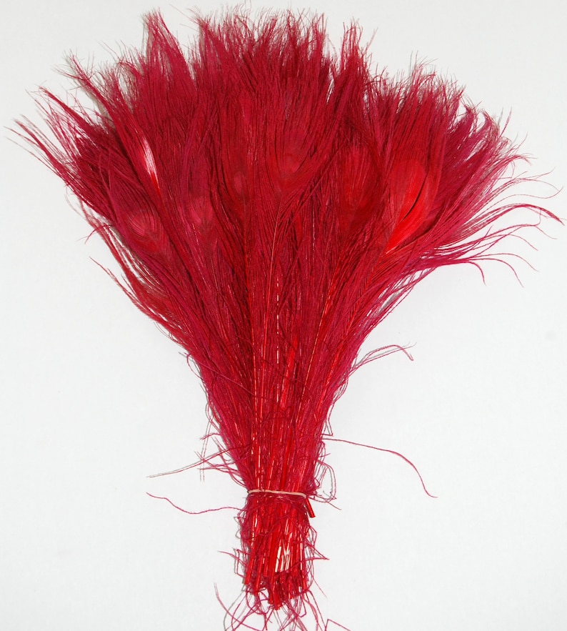 BLEACHED PEACOCK Tail Feathers 10-12 in Many Various Colors for Costume Halloween Home Decor Vases Bridal Wedding Centerpieces Craft DIY Red