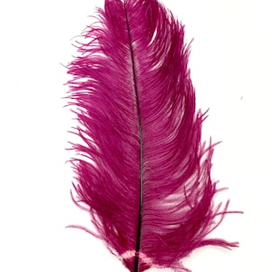 MAGENTA Ostrich Feather Plumes 18-23&quot; for Centerpieces Halloween Costume Hats Bridal Dress Theater Vase DIY
