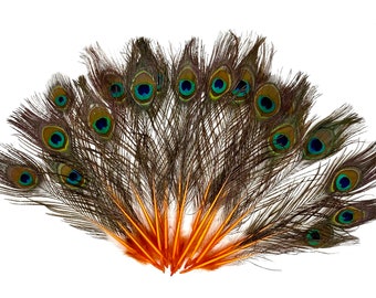 Dyed Orange MINI PEACOCK Feathers 4"-10" for Craft/Millinery/Halloween/Bridal/DIY