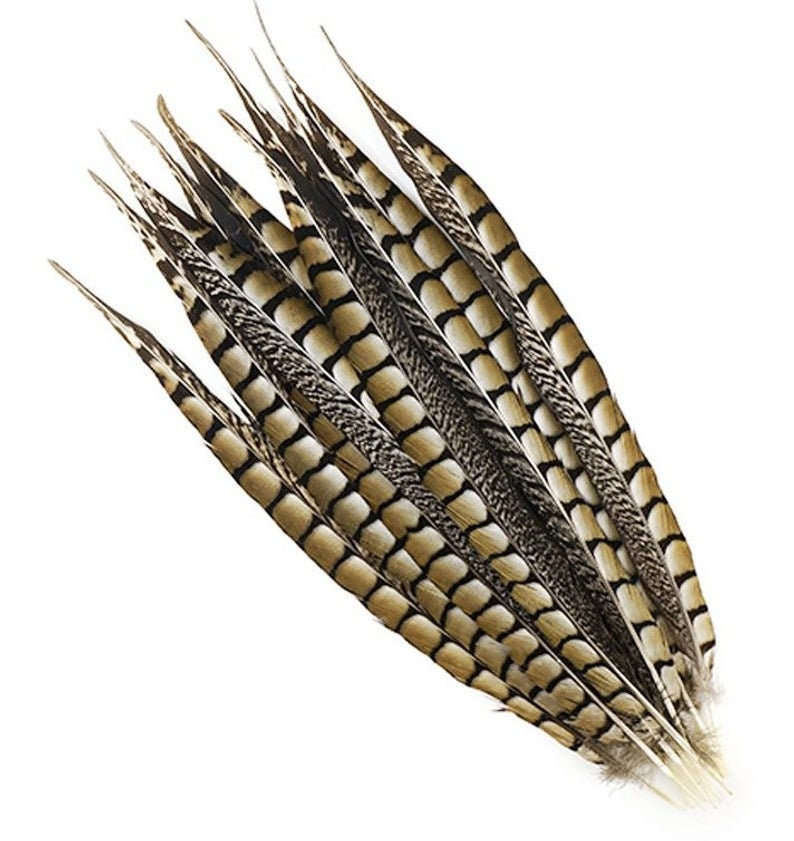 LADY AMHERST PHEASANT Feathers 4-40 Inches ALL TYPES  Craft/Bridal/Halloween/Hats