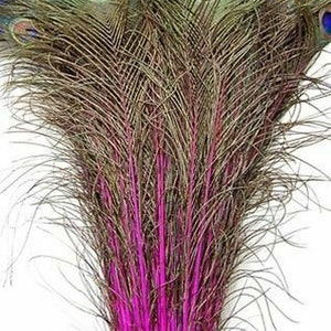 May include: A bunch of peacock feathers with pink dyed tips. The feathers are arranged in a fan shape, with the tips of the feathers pointing outwards.