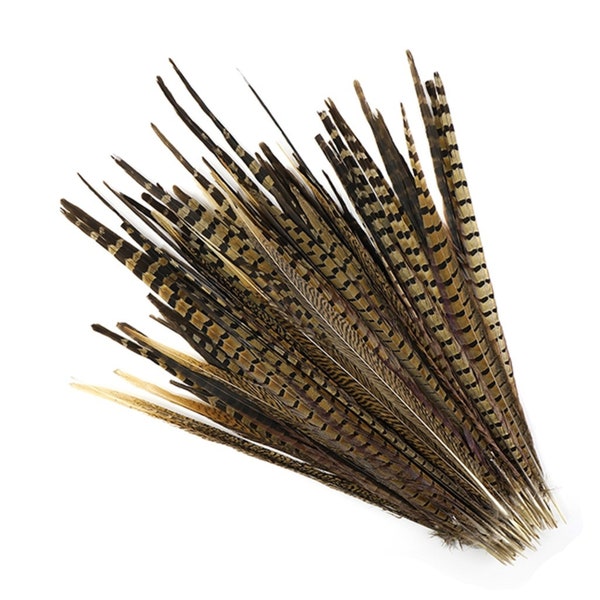 ENGLISH RINGNECK Natural Pheasant Tail Feathers 4"-28" in Various Sizes for Halloween Craft Costumes Hats Millinery Decor Vases DIY
