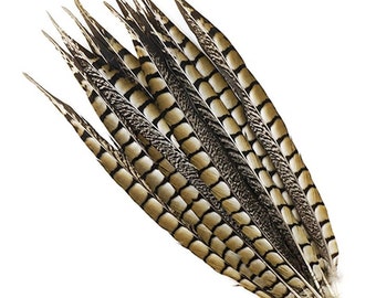 LADY AMHERST 30"-35" Natural Pheasant Tail Feathers for Centerpieces Halloween Costume Craft Home Decor Vases DIY