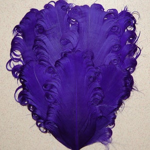 May include: A bunch of purple ostrich feathers with curled tips. The feathers are arranged in a fan shape.