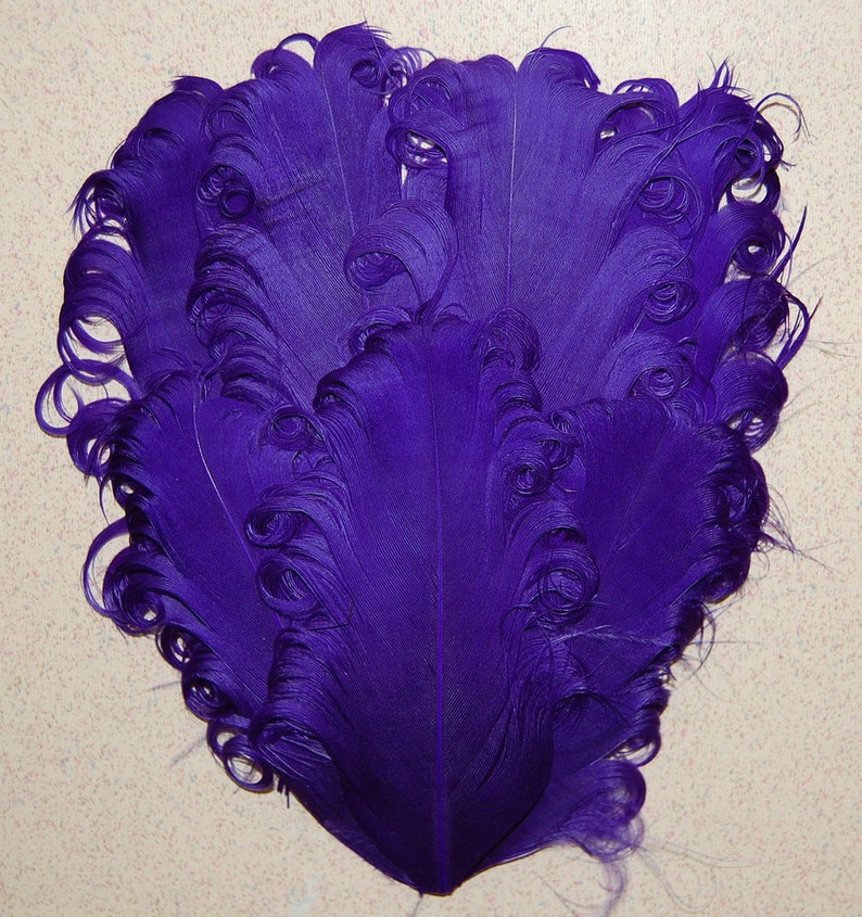 May include: A bunch of purple ostrich feathers with curled tips. The feathers are arranged in a fan shape.