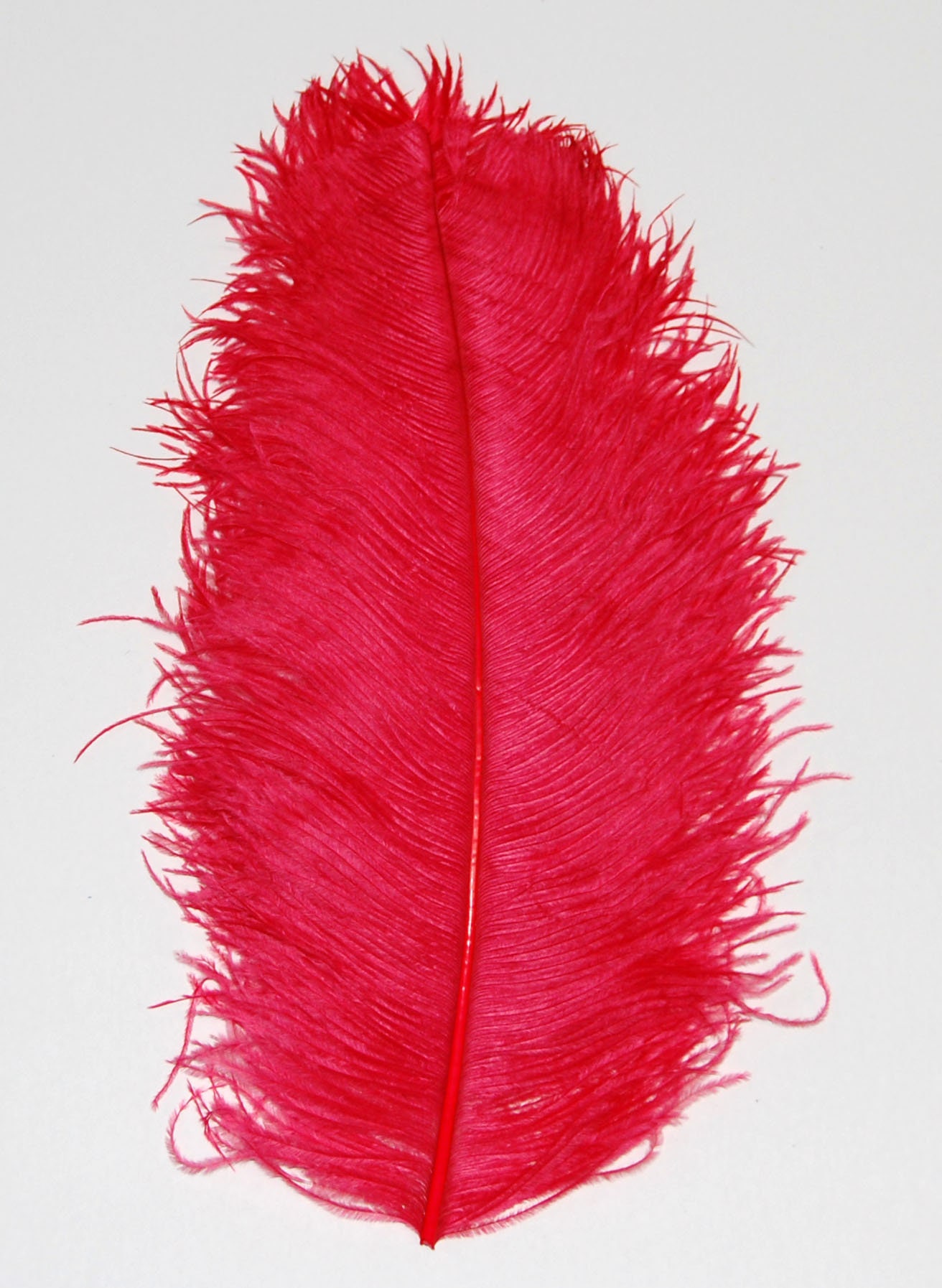 feather plumes