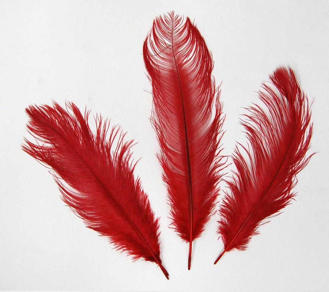 2 Pcs Ostrich Drabs 8-14 Plume Feathers BLOOD RED - Etsy