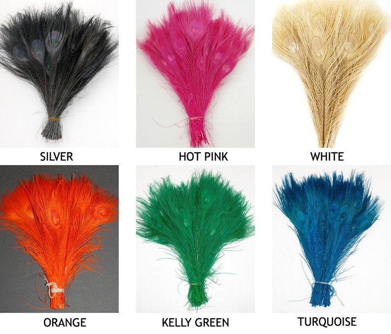 BLEACHED PEACOCK Tail Feathers 10-12 in Many Various Colors for Costume Halloween Home Decor Vases Bridal Wedding Centerpieces Craft DIY image 2