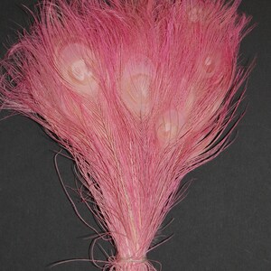 BLEACHED PEACOCK Tail Feathers 10-12 in Many Various Colors for Costume Halloween Home Decor Vases Bridal Wedding Centerpieces Craft DIY Light Pink