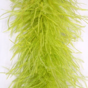 2 Ply MOSS GRÜN Straußenfeder Boa 2 Meter für Halloween Kostüm Handwerk Bachelorette Theater Design