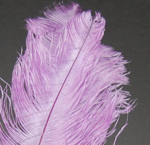 Lilac on sale ostrich feathers