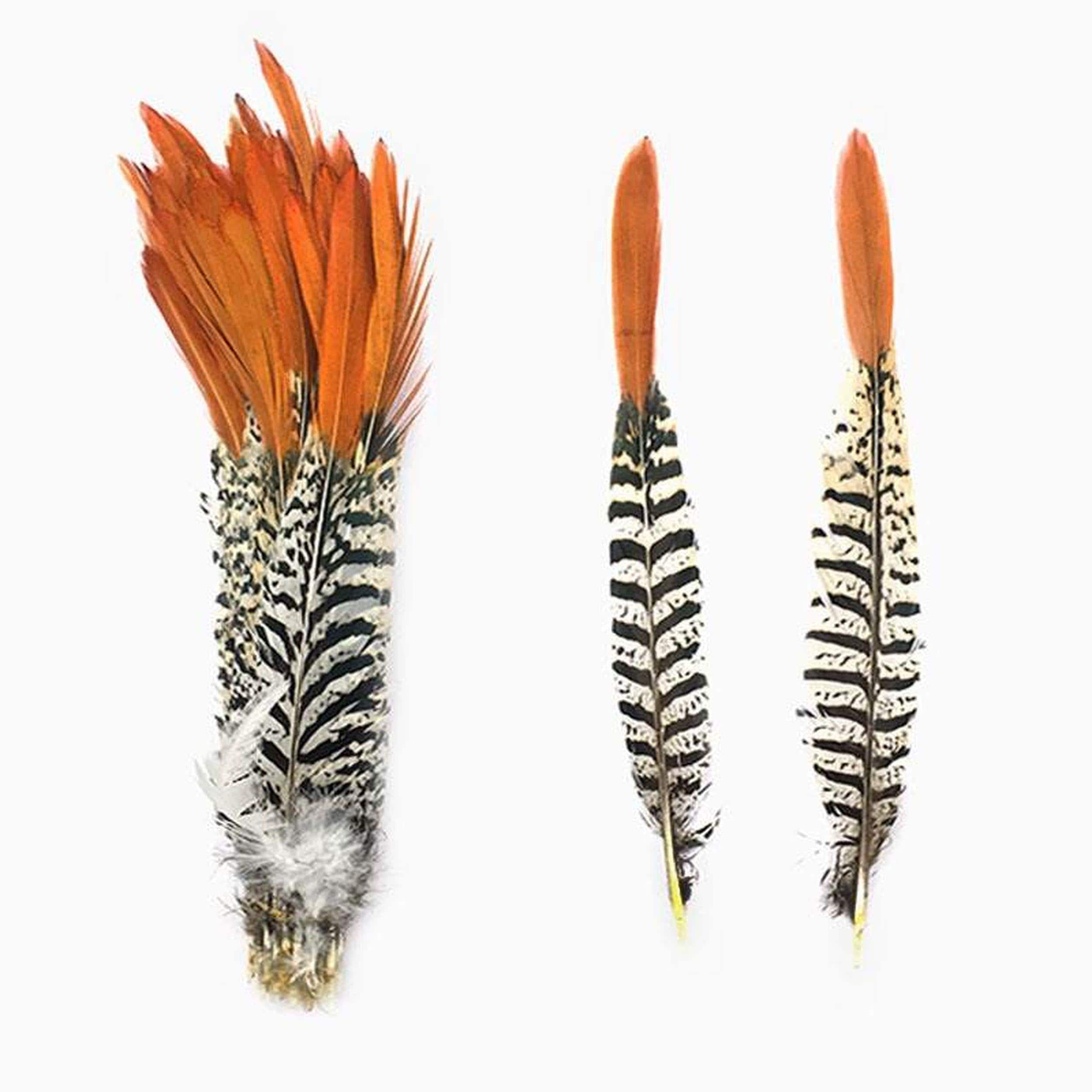 Plumes De Coq De Couleur Naturelle, Lot De 50 Pièces, 6 à 8 Pouces, Plumes De Poulet De Faisan, Artisanat – Acheter Les Meilleurs Produits Dans La Boutique En Ligne