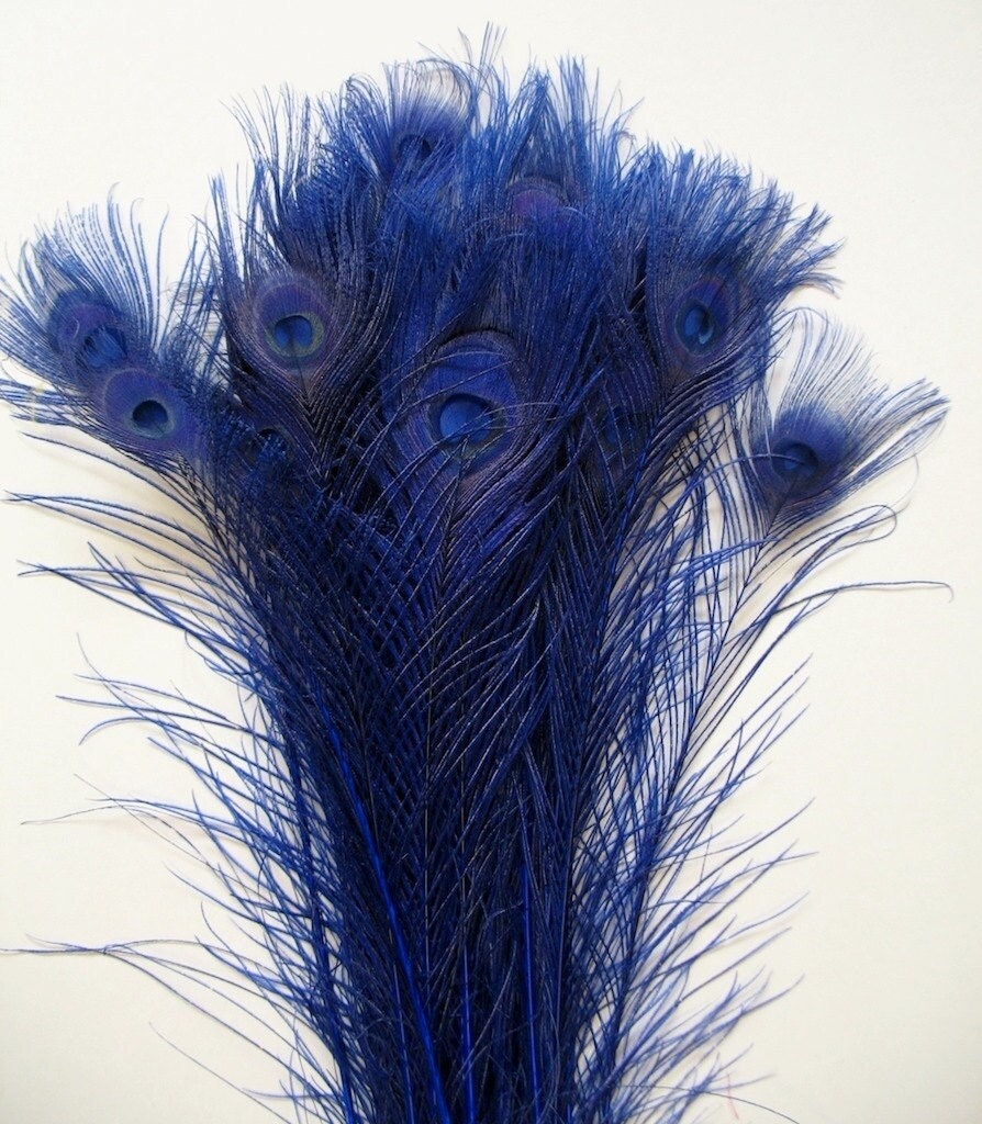 ROYAL BLUE Bleached & Dyed PEACOCK Feathers 30"-35" for Costume Halloween Home Decor Vases Bridal Wedding Centerpieces Craft