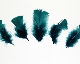 30 Pcs Turkey Plumage 1"-4" Feathers - HUNTER for Craft Hats Halloween Costume Design Fun School Project