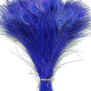 BLEACHED PEACOCK Tail Feathers 10-12 in Many Various Colors for Costume Halloween Home Decor Vases Bridal Wedding Centerpieces Craft DIY Royal Blue
