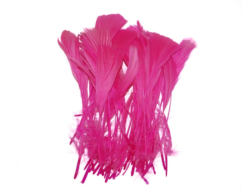 SHOCKING PINK 8-10 In Height 25 pcs Striped Burnt COQUE Feathers