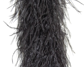 May include: A long strand of black ostrich feathers. The feathers are soft and fluffy, and they are ideal for adding a touch of elegance to any project.