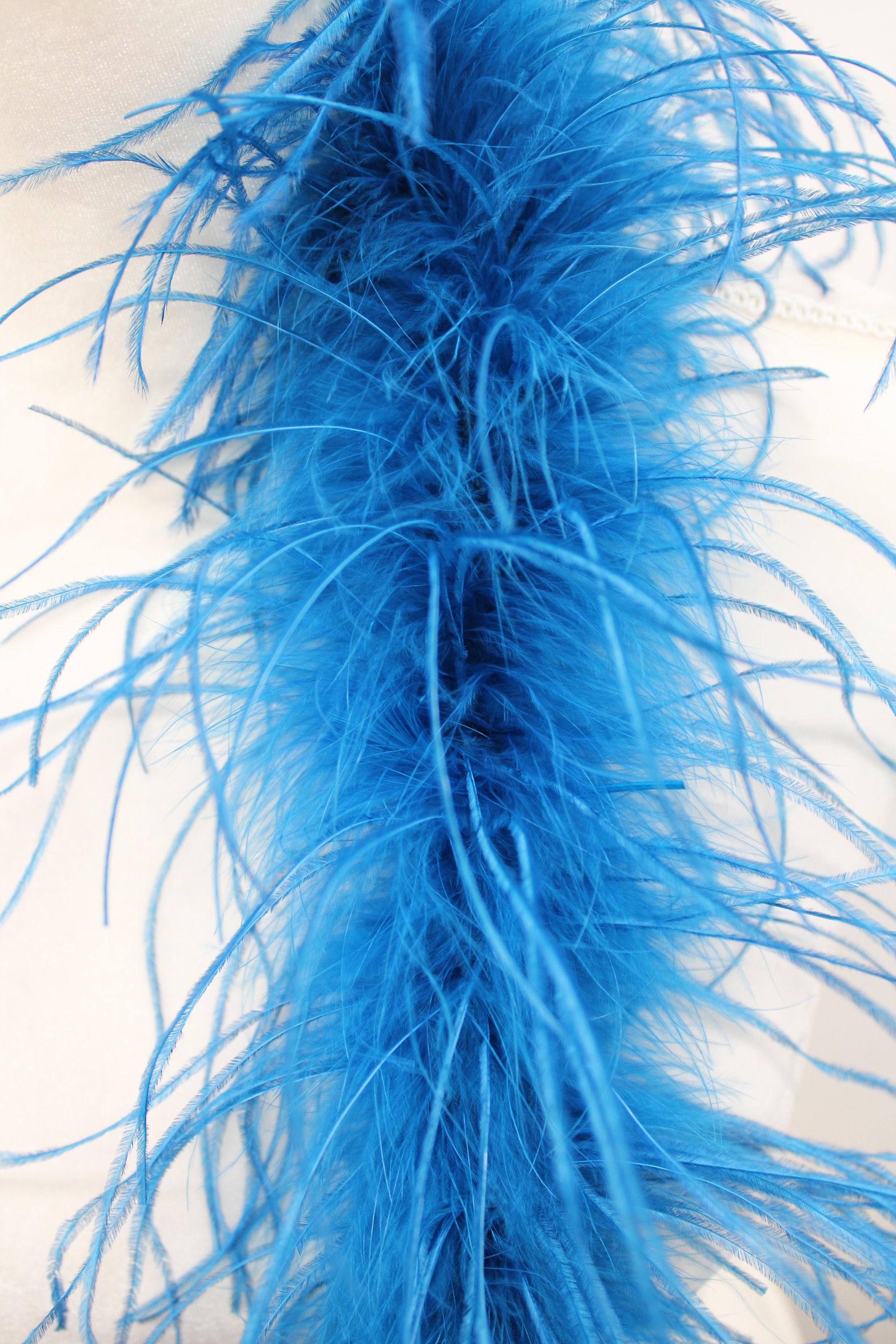 2 Ply Ostrich Feather Boa 2 Yards for Halloween Costume Bachelorette Party  DIY (Baby Blue)