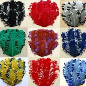 May include: Nine sets of curly ostrich feathers in various colors, including black, red, green, brown, blue, yellow, and light blue. Each set is arranged in a fan shape.