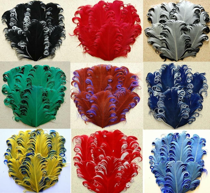 May include: Nine sets of curly ostrich feathers in various colors, including black, red, green, brown, blue, yellow, and light blue. Each set is arranged in a fan shape.