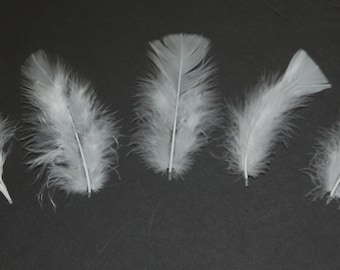 30 Pcs Turkey Plumage 1"-4" Feathers - WHITE for Craft Hats Halloween Costume Design Fun School Project