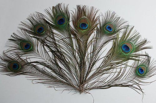 HaiMay 32 Pieces Peacock Feathers for Craft Wedding Home Party Costumes  Decorations, 4-12 Inches Peacock Feathers Large Natural Craft Feathers