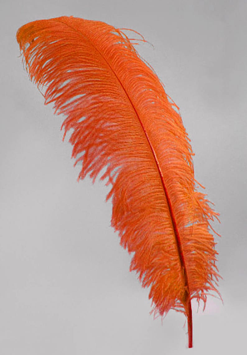 2 Pcs Ostrich Feather Plumes 23-30 Orange