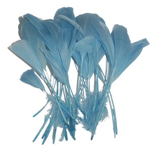 25 pcs Striped Burnt COQUE Feathers - SKY BLUE (8"-10" In Height)