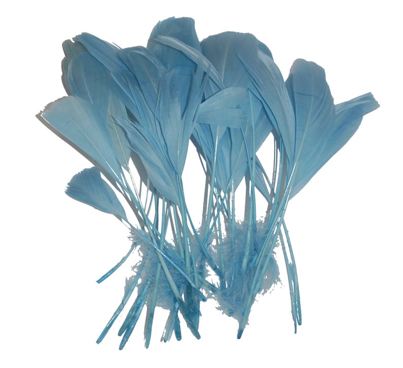 US Seller 15 Pcs.Light Blue Stripped Coque Rooster Feathers