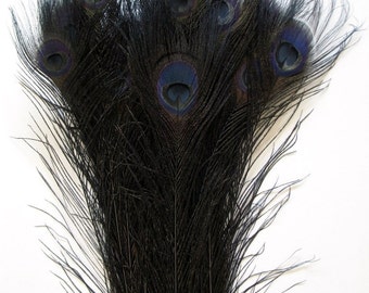 BLACK Bleached & Dyed PEACOCK Feathers 30"-35" for Costume Halloween Home Decor Vases Bridal Wedding Centerpieces Craft