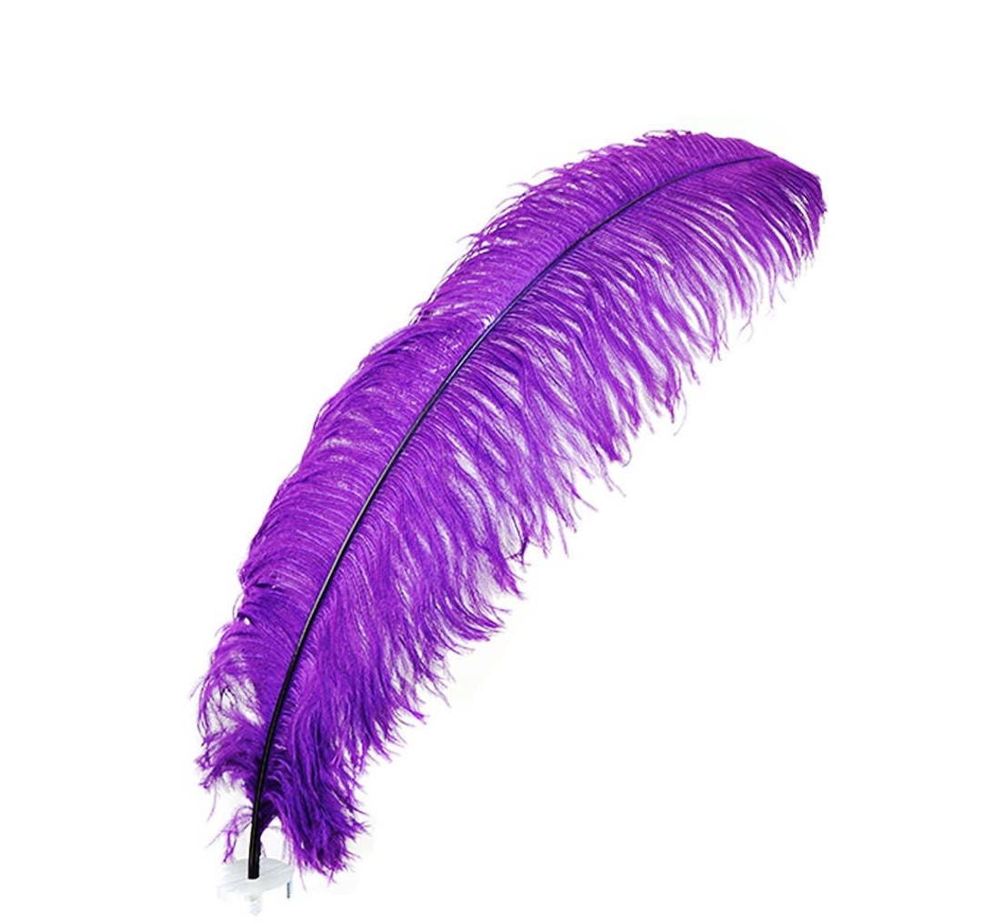 LIGHT PINK Ostrich Feather Plumes 23-30 Full and Beautiful for  Centerpieces Halloween Costume Vases Craft Theater Hats DIY