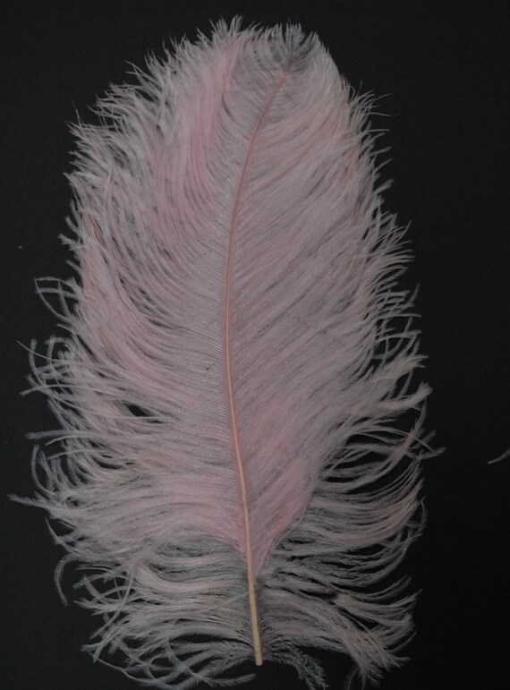 3 BLACK Ostrich FEATHERS 10-18/" Full Wing PLUMES; Bridal//Wedding//Centerpiece//Hat