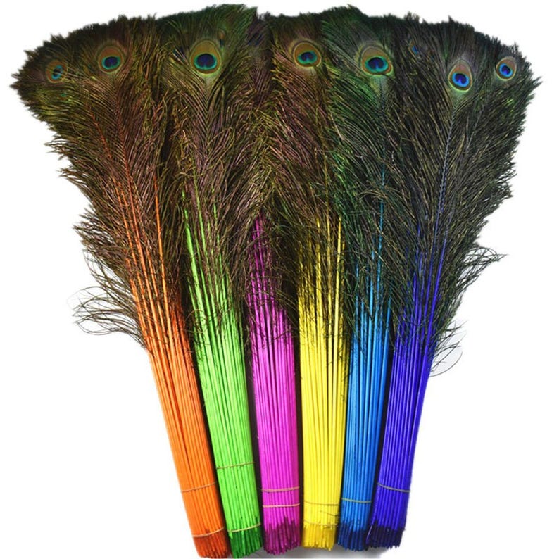 May include: A bunch of peacock feathers with the tips dyed in various bright colors, including orange, green, pink, yellow, blue, and purple.