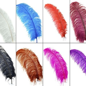 OSTRICH Feather PLUMES 23-30" in 40+ Various Colors for Wedding Centerpiece Party Floral Arrangements DIY Halloween Costume Craft