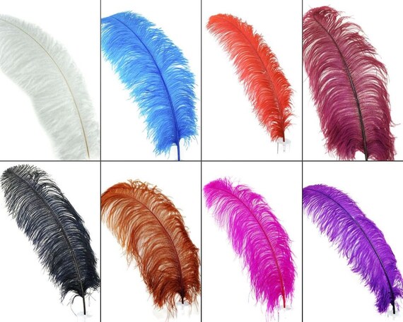 12 Piume Di Struzzo Nere 20-25 Cm Per Decorazioni Fai Da Te - Eleganti Piume Per Feste, Matrimoni, Natale, Centrotavola E Acchiappasogni