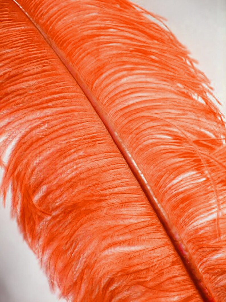 2 Pcs Ostrich Feather Plumes 23-30 Orange