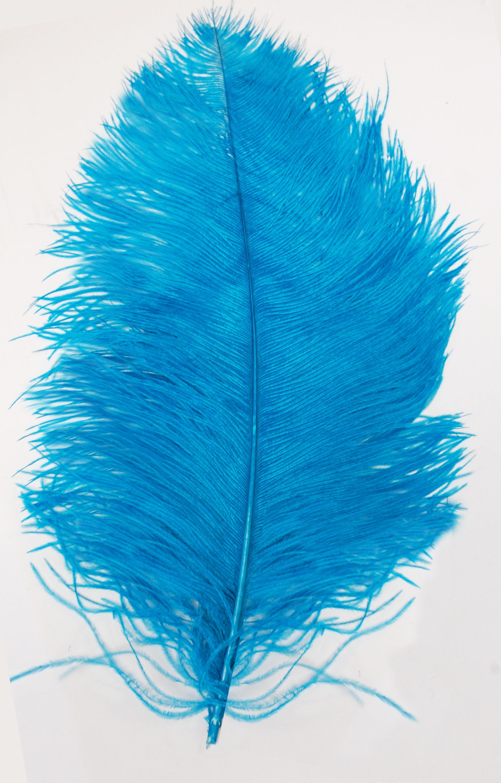 Turquoise Ostrich Feather Plumes 1018 for Centerpieces Craft Home