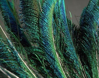 PEACOCK SWORDS Natural Feathers 10&quot;-35&quot; in Many Sizes for Halloween Costumes Craft Bridal Vases DIY Home Decor