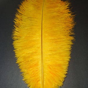 GOLD Ostrich Feather Plumes 10&quot;-18&quot; for Centerpieces Craft Home Decor Design DIY