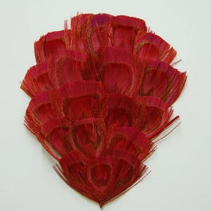 BLEACHED Peacock Feather &quot;EYE&quot; Pad - RED Feathers; Headband/Hats/Costume/Bridal