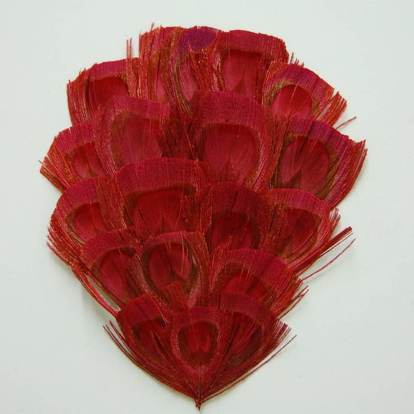 BLEACHED Peacock Feather "EYE" Pad - RED Feathers; Headband/Hats/Costume/Bridal